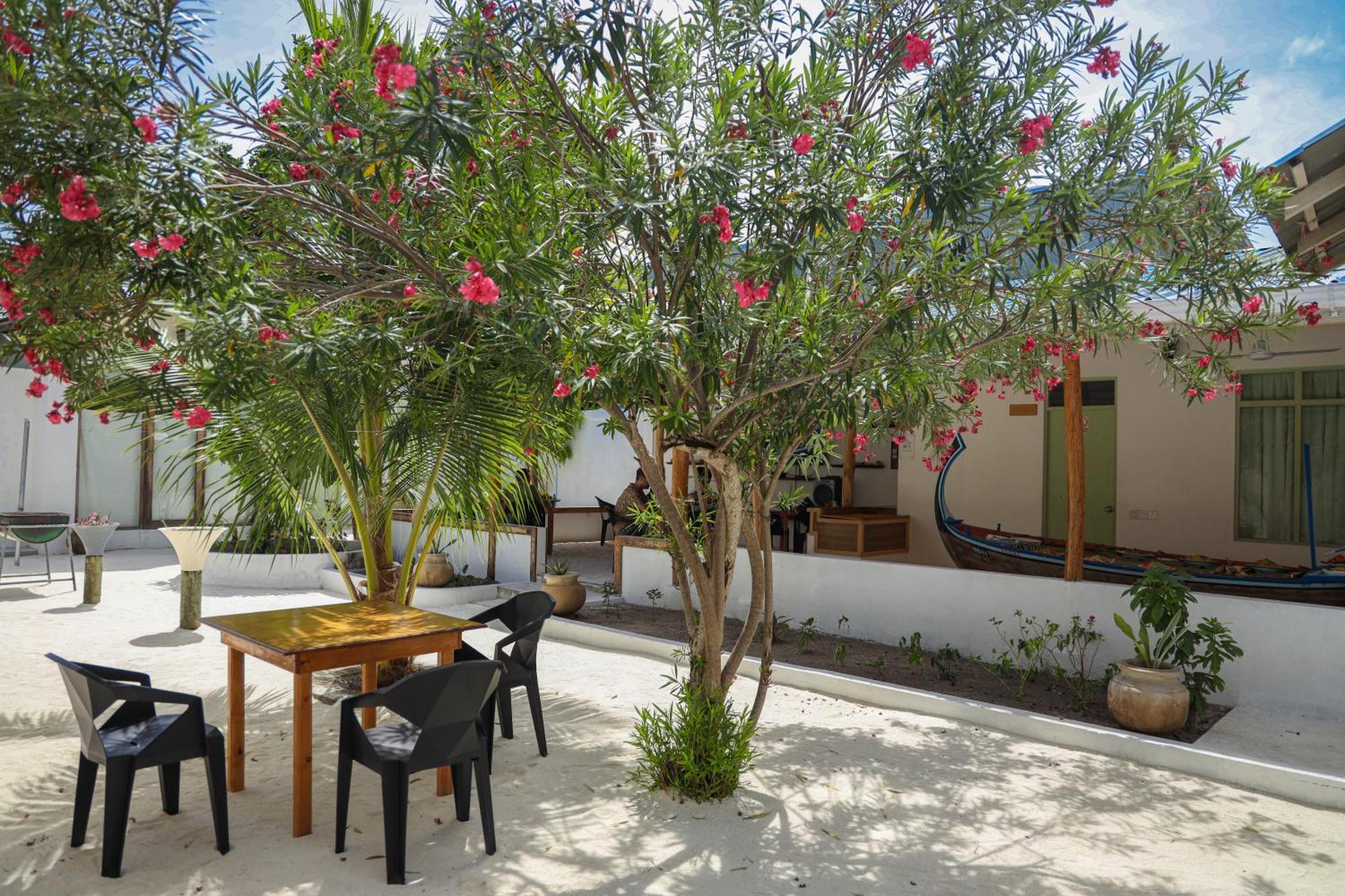 Shifa Lodge Maldives Feridhoo Екстер'єр фото